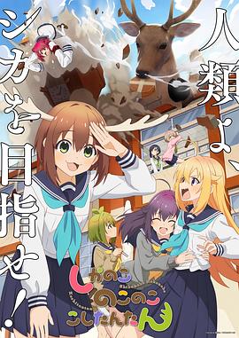 球友直播